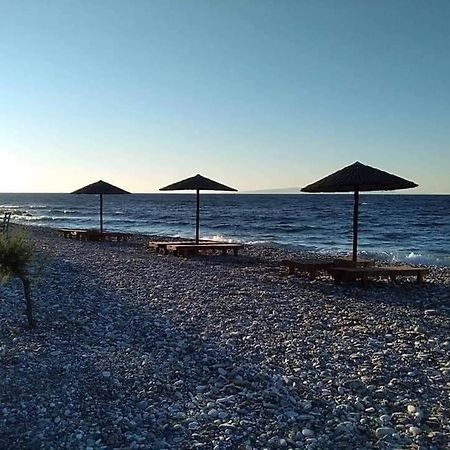Despoina Seaside Apartment Agios Konstantinos  Bagian luar foto