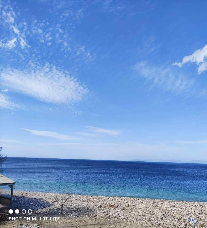 Despoina Seaside Apartment Agios Konstantinos  Bagian luar foto