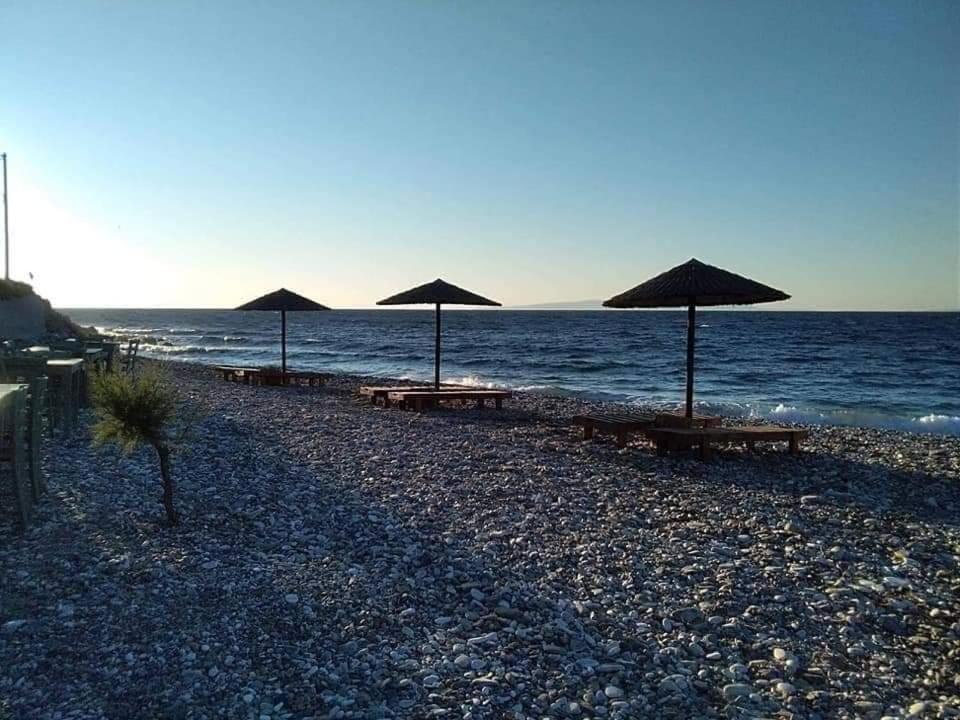 Despoina Seaside Apartment Agios Konstantinos  Bagian luar foto